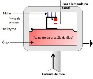 O que é cebolinha do óleo? O que são e como funcionam